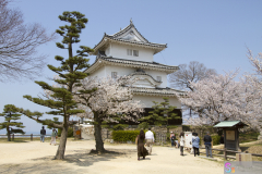 Marugamejo2012_078