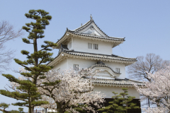 Marugamejo2012_079