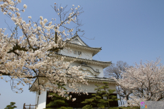 Marugamejo2012_081