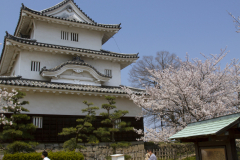 Marugamejo2012_082
