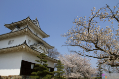 Marugamejo2012_083