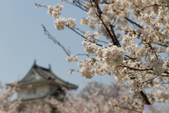 Marugamejo2012_089