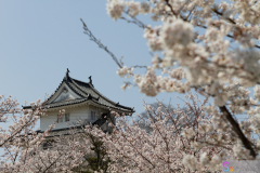 Marugamejo2012_090