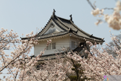 Marugamejo2012_093