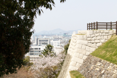 Marugamejo2012_098