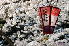 Marugamejo2012_100