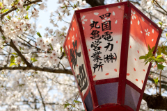 Marugamejo2012_101