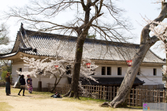 Marugamejo2012_104