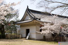 Marugamejo2012_105