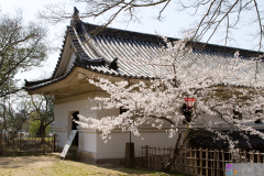 Marugamejo2012_106