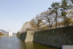 Marugamejo2012_113