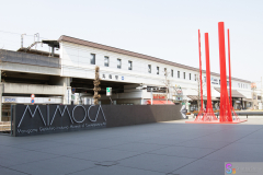 MIMOCA2012_12