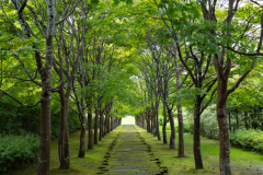 NakasatsunaiArtVillage2025_14