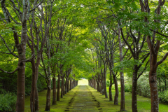 NakasatsunaiArtVillage2025_15