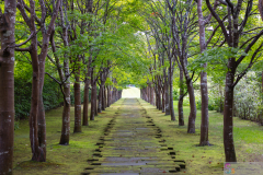 NakasatsunaiArtVillage2025_16