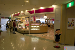 NaritaTerminal2007_12