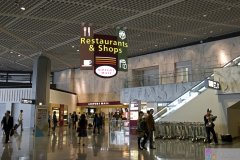 NaritaTerminal2007_18