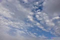 ObihiroInada2025_07