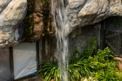 OceanPark2026_13