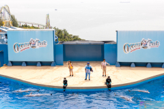 OceanPark2026_17