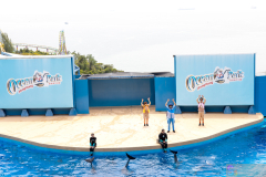 OceanPark2026_18