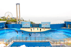 OceanPark2026_19