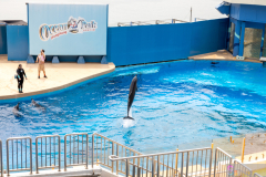 OceanPark2026_21