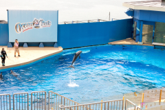 OceanPark2026_22