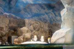 OceanPark2026_25
