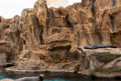 OceanPark2026_46