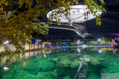 OceanPark2026_49