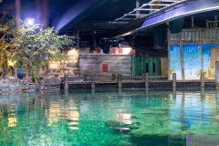 OceanPark2026_50