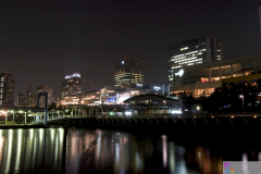 Odaiba2007_05
