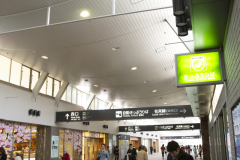Okayama2012_13
