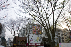 omotesando_2007_16