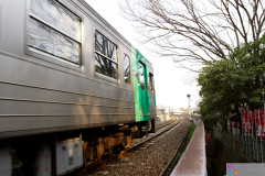 Ritsurinkoen2012_01