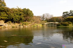 Ritsurinkoen2012_25