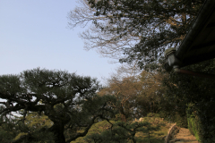 Ritsurinkoen2012_27