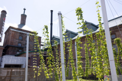SapporoBeerMuseum2024_01