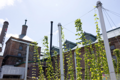 SapporoBeerMuseum2024_02