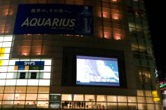 shinjuku_2007_01_08