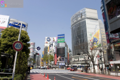 shibuya_2007_02_20