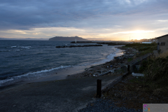 SINORI205_2024_08