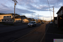 SINORI205_2024_11