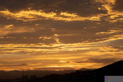 SINORI205_2024_23