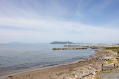 SINORI205_2024_06