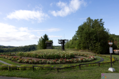 TakinoSuzuranHillsidePark2024_02
