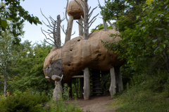 TakinoSuzuranHillsidePark2024_14