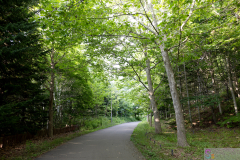 TakinoSuzuranHillsidePark2024_26
