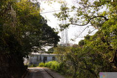 ThePeak2025_01